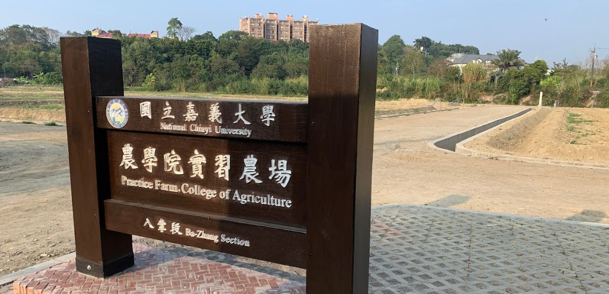 八掌段