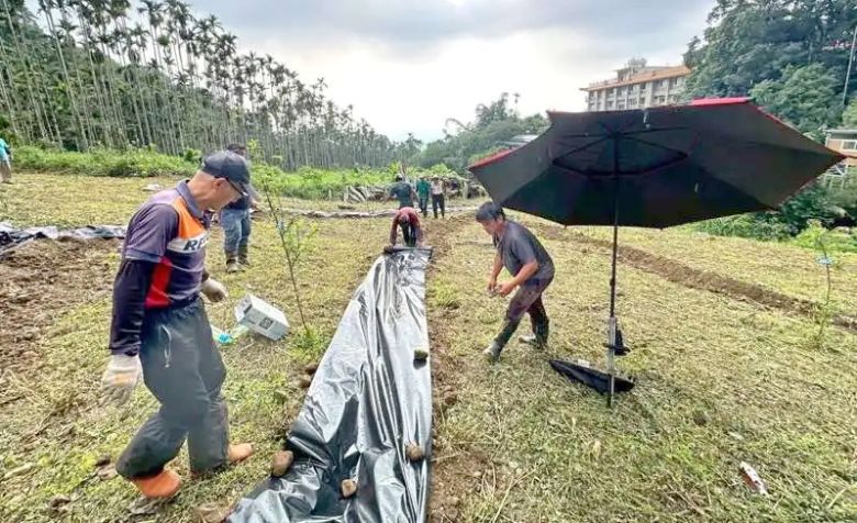 雲林縣府攜手嘉義大學何坤益教授團隊，除營造良好復育環境，透過場域實踐訓練，棲地調查撫育等實務經驗，提升黑翅螢的族群數量。(聯合新聞網)
