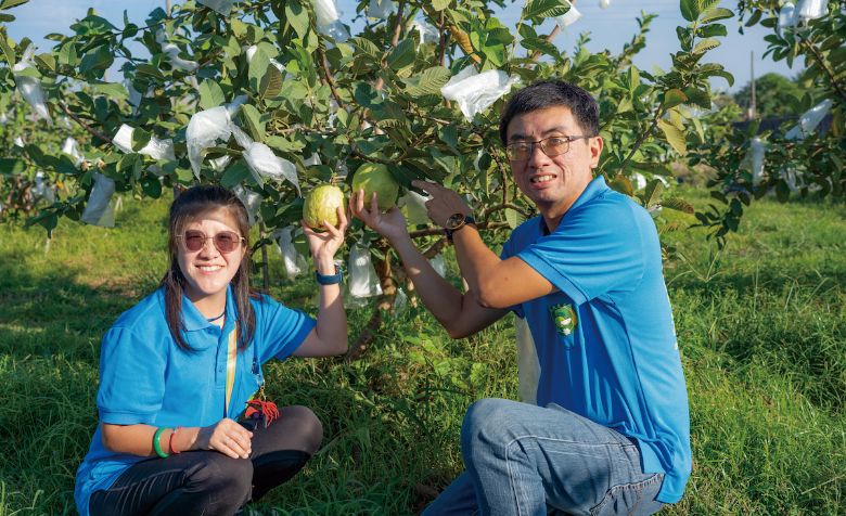 鄭紫彤和蘇崇愷返鄉從農，種植芭樂十年有成。(農傳媒)