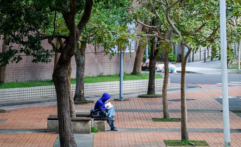 唯有大眾共同關注樹木健康，才能成就人樹共生的環境。(報導者)