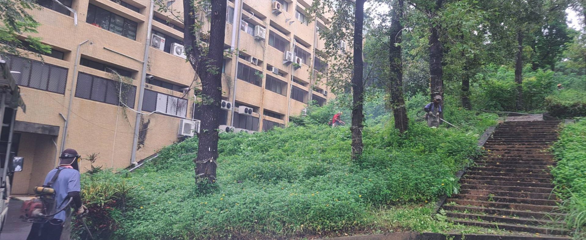 115年8月蘭潭校區環境綠美化