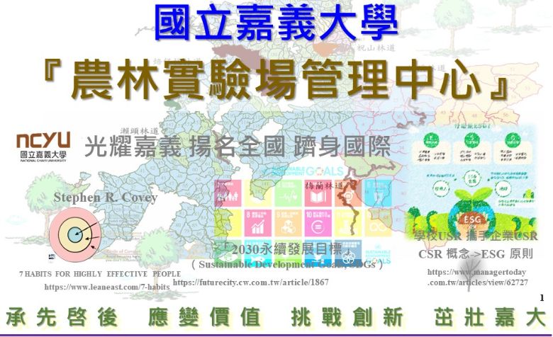 圖：水社寮學習研究教育中心火金姑婆娑起舞的夜景(照片由洪年宏提供)