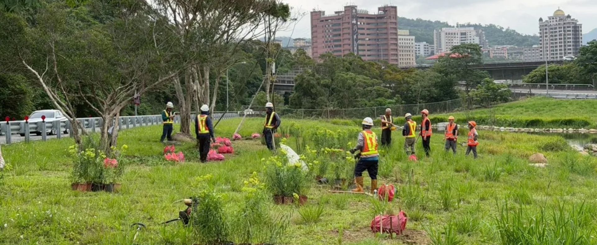 高公局攜手嘉大景觀系陳佩君助理教授  木柵休息站打造「百花草毯」