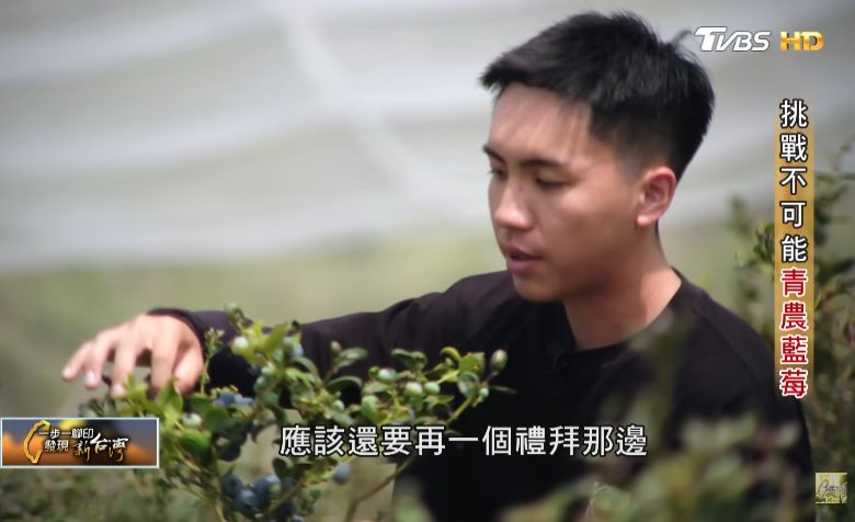 炎熱南台灣也能種出藍莓  26歲嘉大楊承翰校友挑戰不可能開賣半小時完售(TVBS)