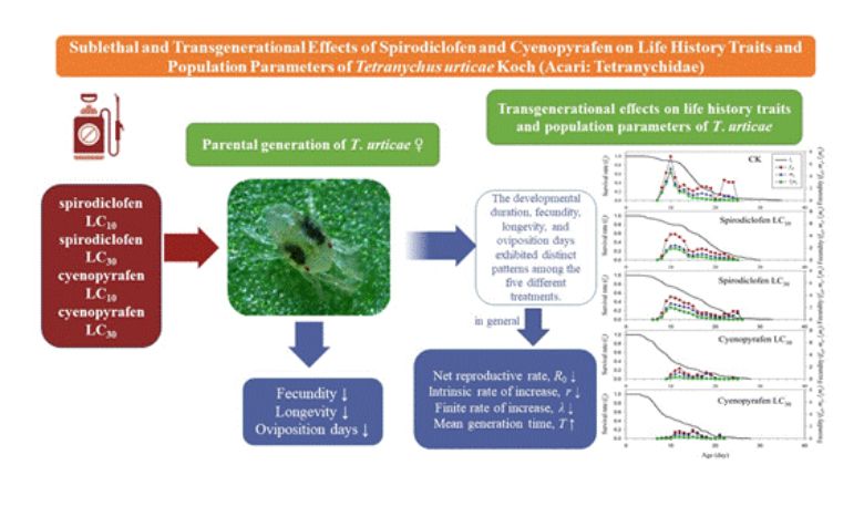 嘉大植醫系林明瑩副教授與研究生黃意捷的研究成果刊登於國際知名期刊