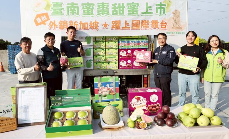 台南蜜棗首度外銷新加坡，12日首批出貨。台南市長黃偉哲昨11日特別前往玉井聯興合作社，關心出口外銷作業。（中時電子報）