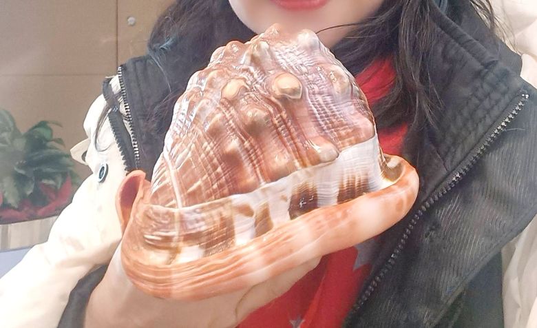 200元貝殼竟是保育物種「唐冠螺」 她買紀念品遭大陸海關帶進小房間(聯合新聞網)