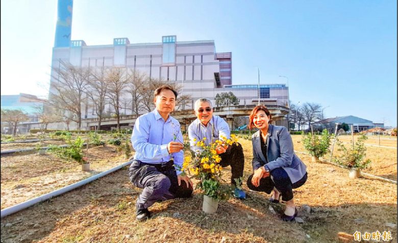 嘉大森林暨自然資源學系張坤城副教授推動生態與產業共榮  阿里山油菊獲准進入茶飲市場