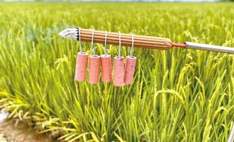 農民「抗鳥」激發許多聰明手段。(聯合新聞網)