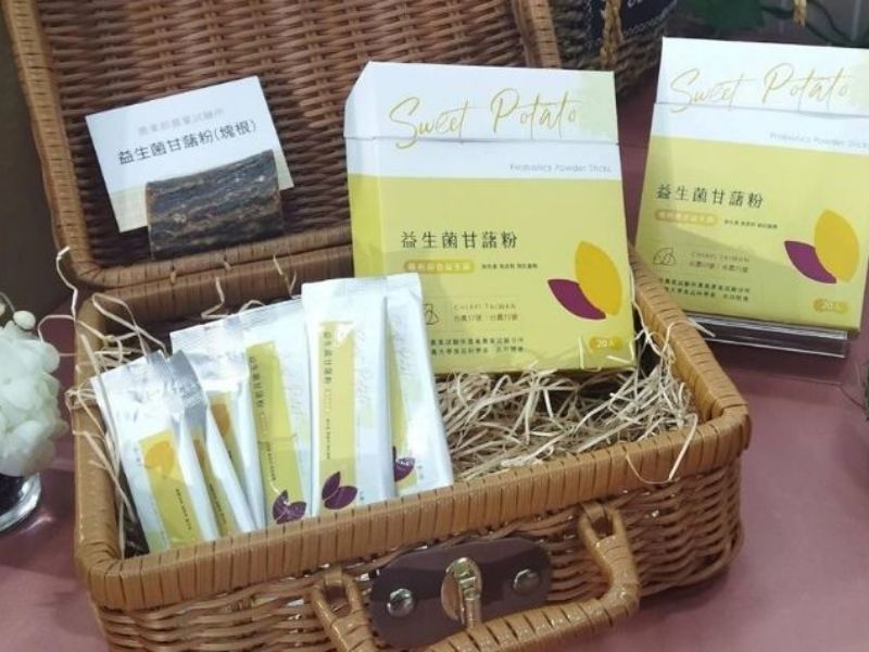 國立嘉義大學