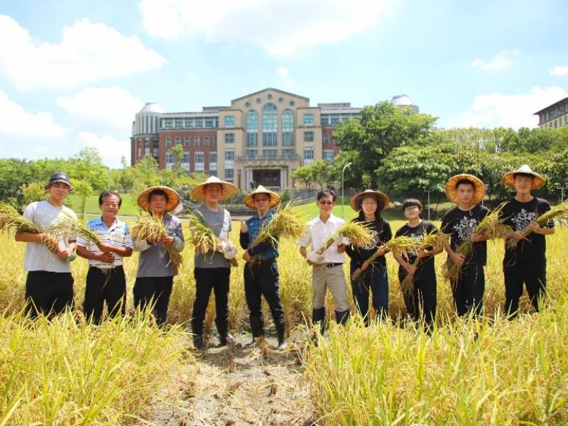 國立嘉義大學