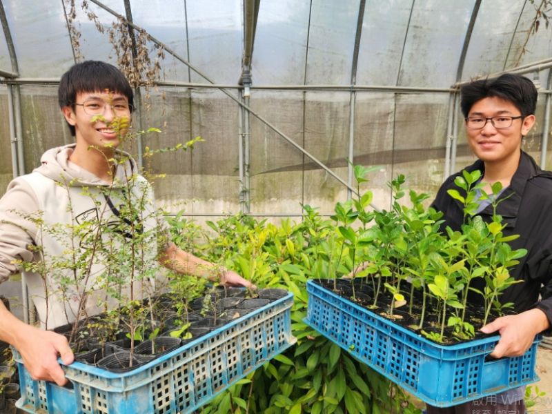 國立嘉義大學
