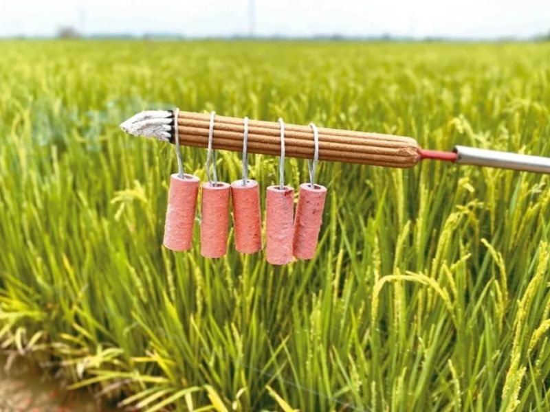 農民驅趕鳥類方式多元，圖為有農民用線香打造的定時炮。圖／嘉縣野鳥學會總幹事陳建樺提供