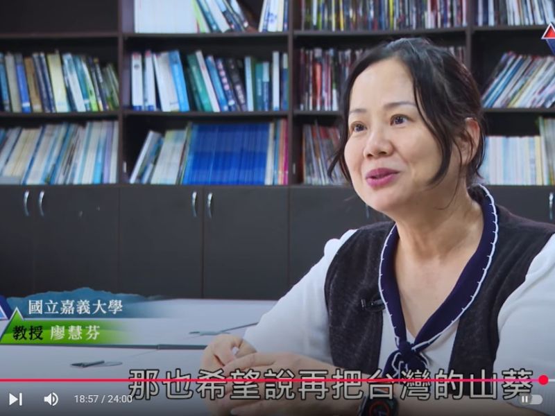 嘉大攜手阿里山原民部落共創山葵產業新契機