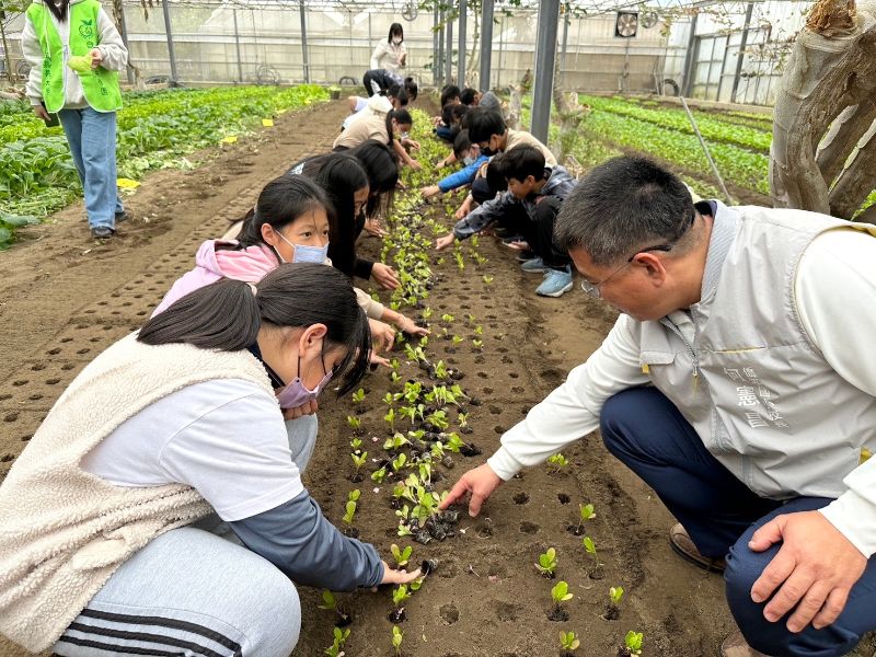 僑平國小何憲昌校長指點學童種菜苗技巧。