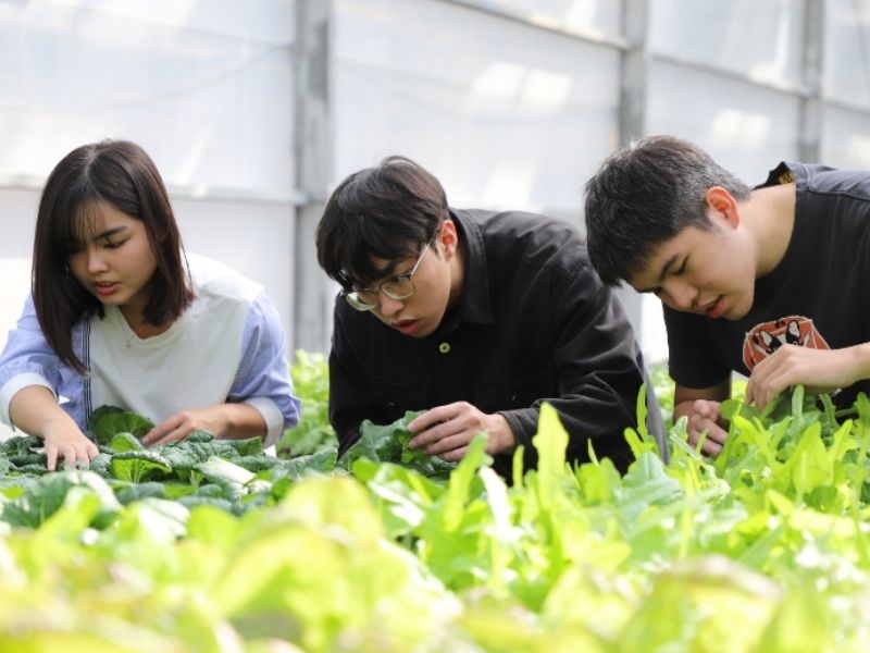 國立嘉義大學