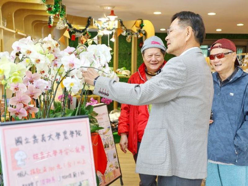 過年挑蘭花別只看花多  嘉大農學院沈榮壽院長提供選購蝴蝶蘭6項關鍵秘訣