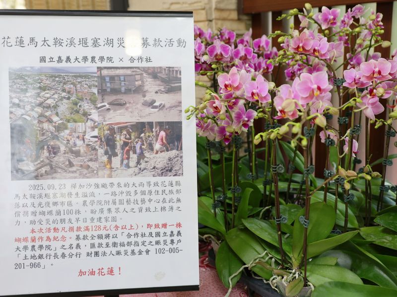 嘉大送愛到花蓮，農學院捐蝴蝶蘭與鮮乳拋磚引玉助光復鄉重建家園。(照片由秘書室公關組攝)