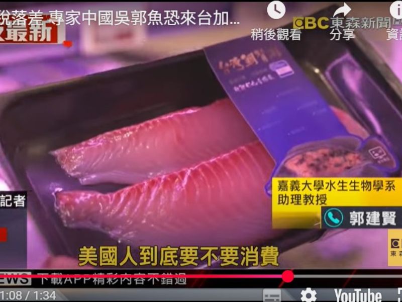 美關稅落差 嘉大水生系郭建賢助理教授指出慎防中國吳郭魚來台加工洗產地