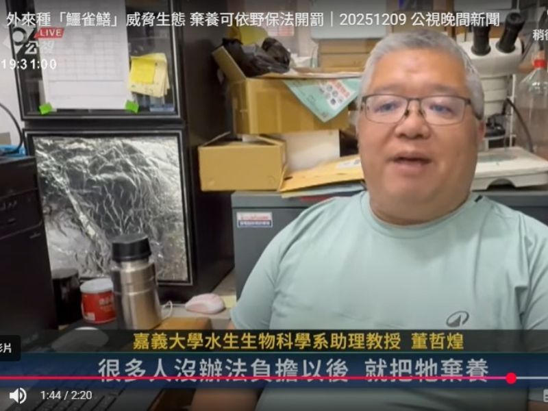 外來種「鱷雀鱔」威脅生態 嘉大水生系董哲煌助理教授提出專業意見