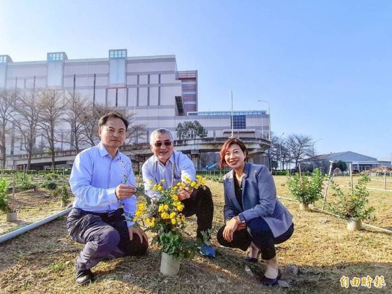 阿里山油菊復育推手嘉義大學森林暨自然資源學系副教授張坤城(左起)、鹿草焚化廠廠長林中山及管理課長林諄婷。(記者林宜樟攝)