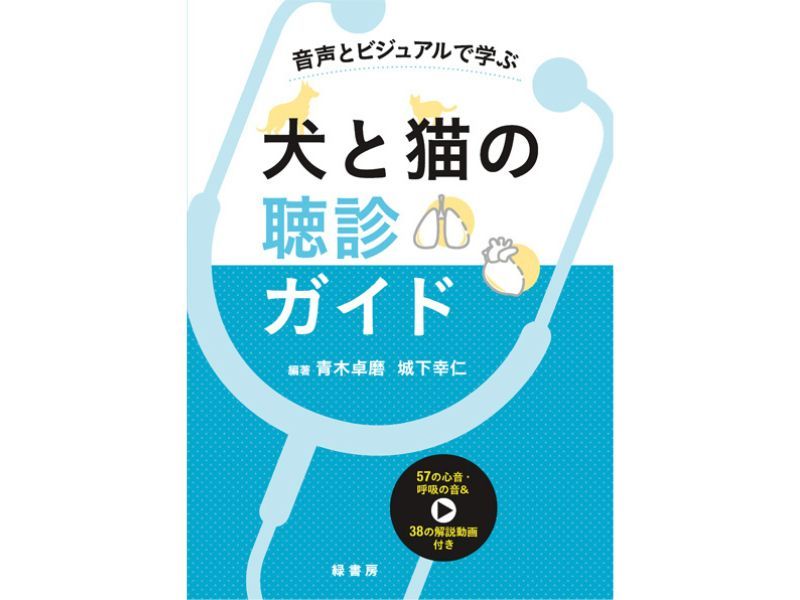 國立嘉義大學