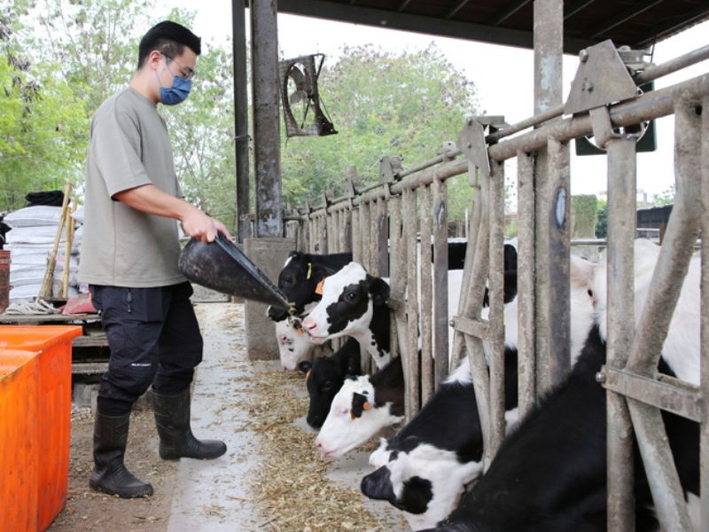 圖6: 動物科學系注重實務技術，具完善動物試驗場供學生實習。(照片由農學院提供)