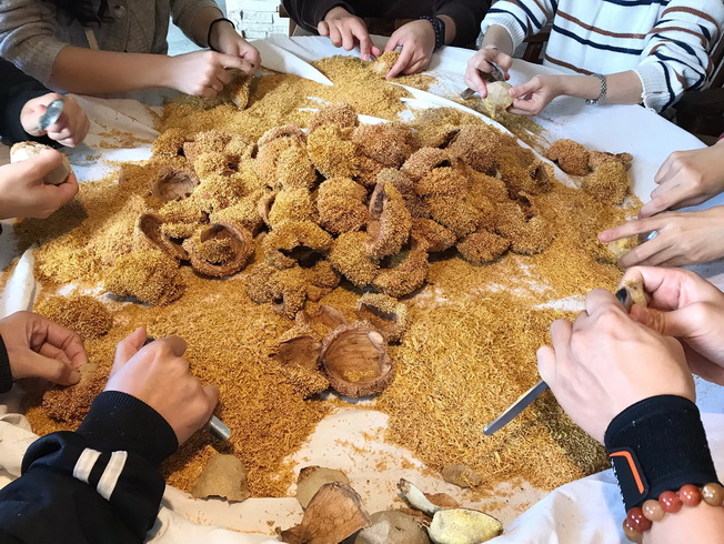 NCYU students helped solve the problem caused by insufficient manpower by assisting the locals in scraping Aiyu jelly seeds. 