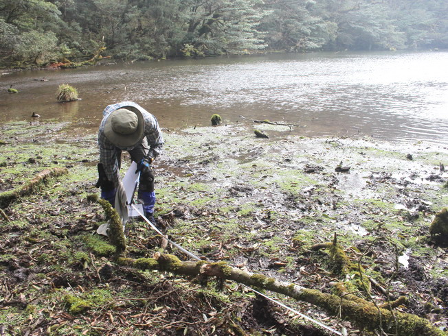 The researchers carried out an ecological investigation in the Daguei Lake Wetland. 