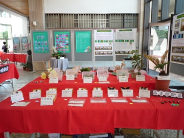 期中成果展
