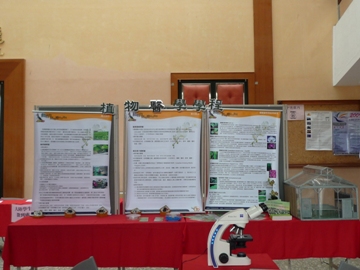 期中成果展