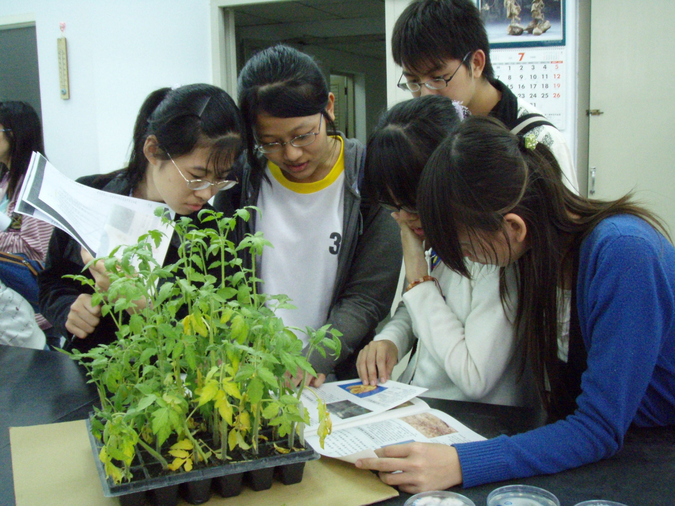 970708亞蔬中心植物病害診斷