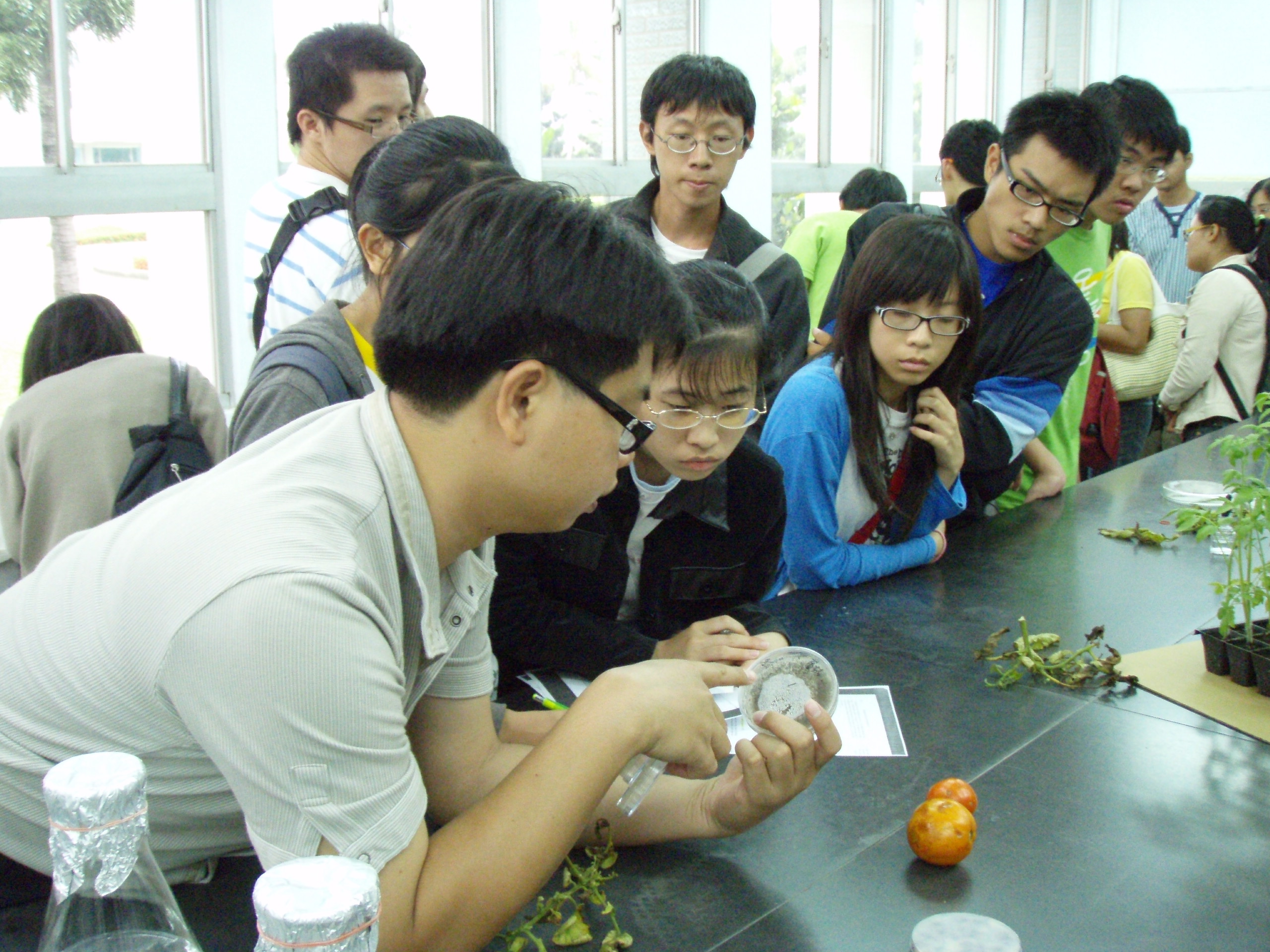 970708亞蔬中心植物病害診斷5
