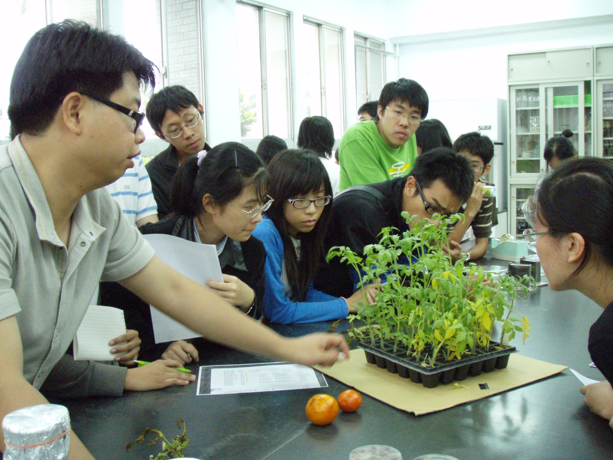 970708亞蔬中心植物病害診斷6