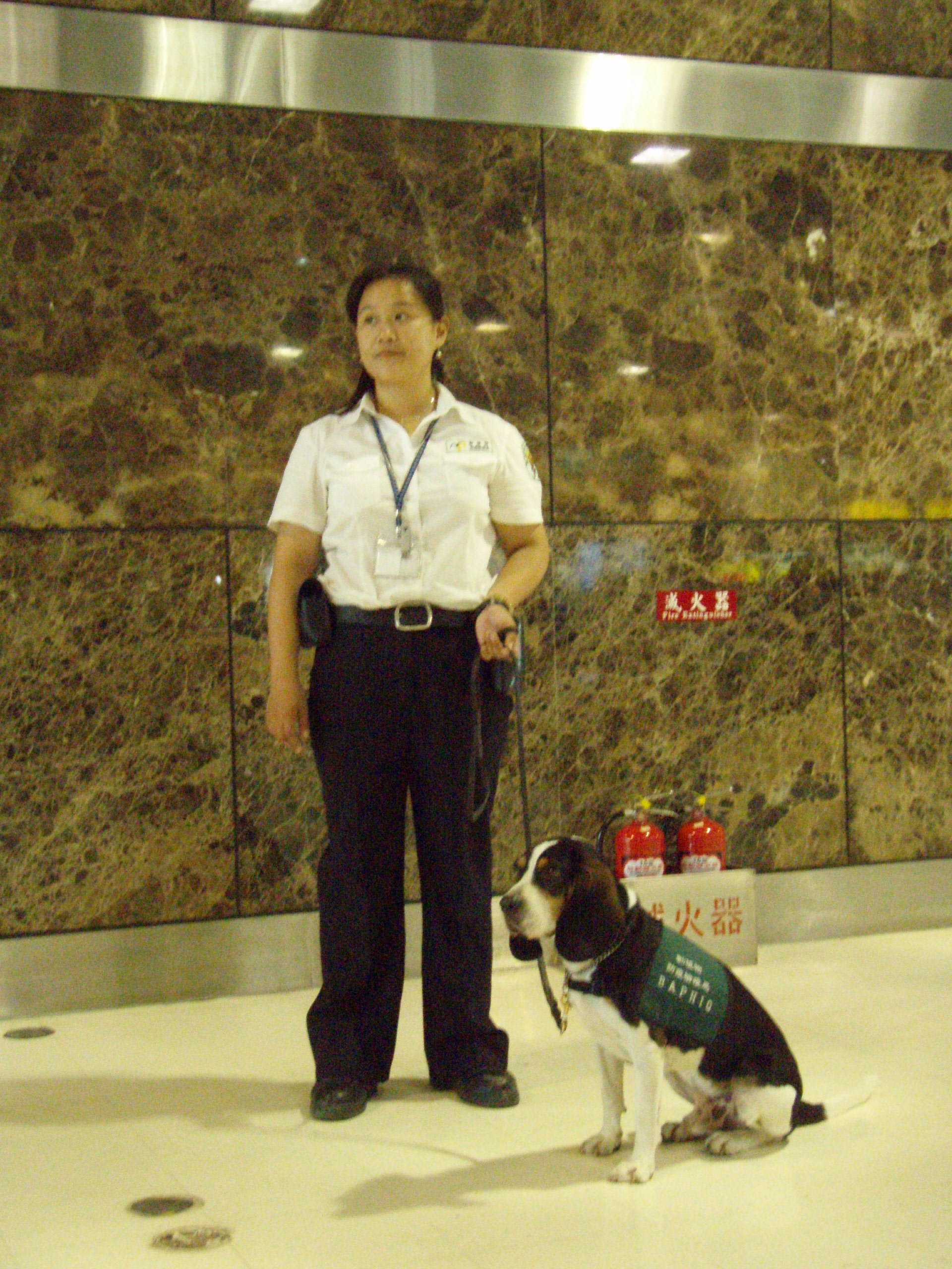 參觀高雄國際機場檢疫犬作業12.JPG