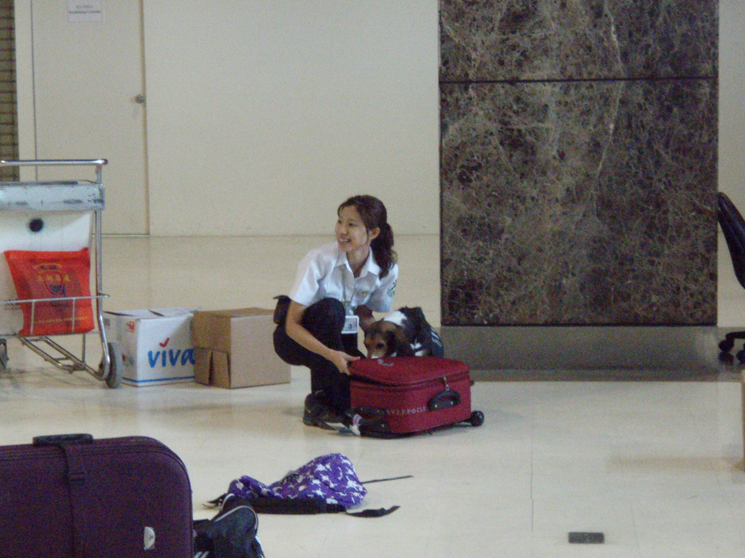 參觀高雄國際機場檢疫犬作業4.JPG