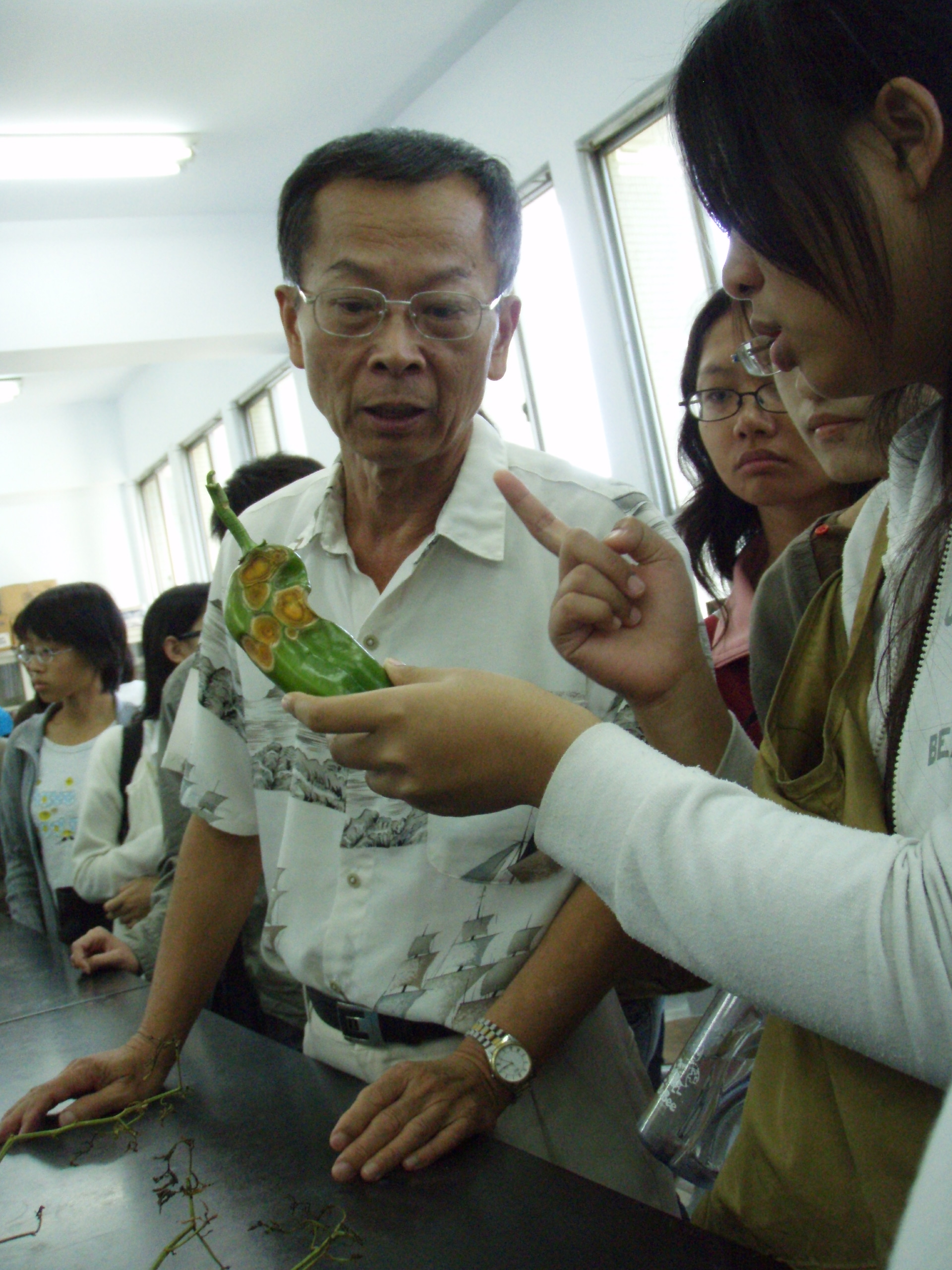 970812亞蔬中心植物病害診斷1