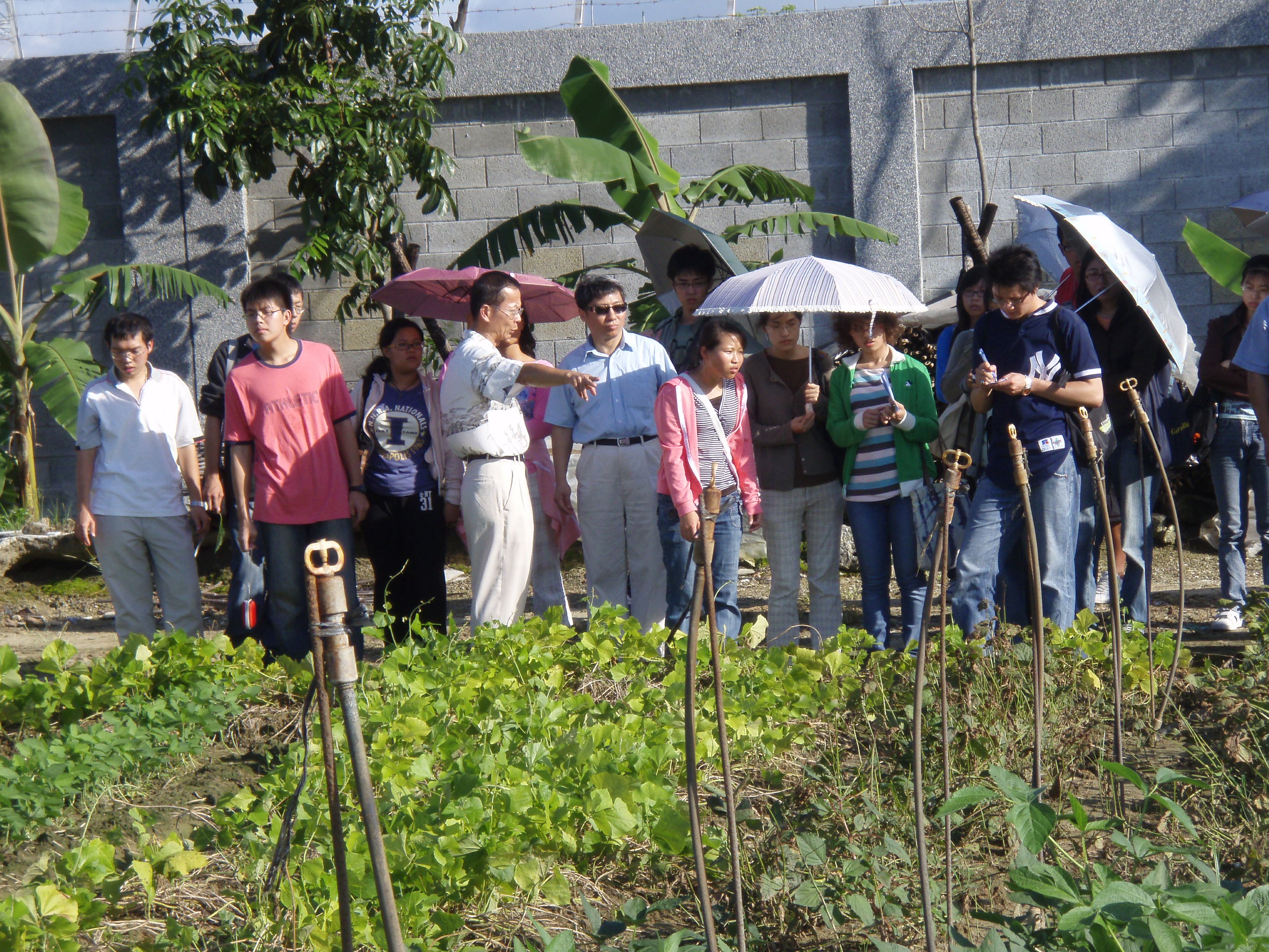 970812亞蔬中心田間植物病害觀察13