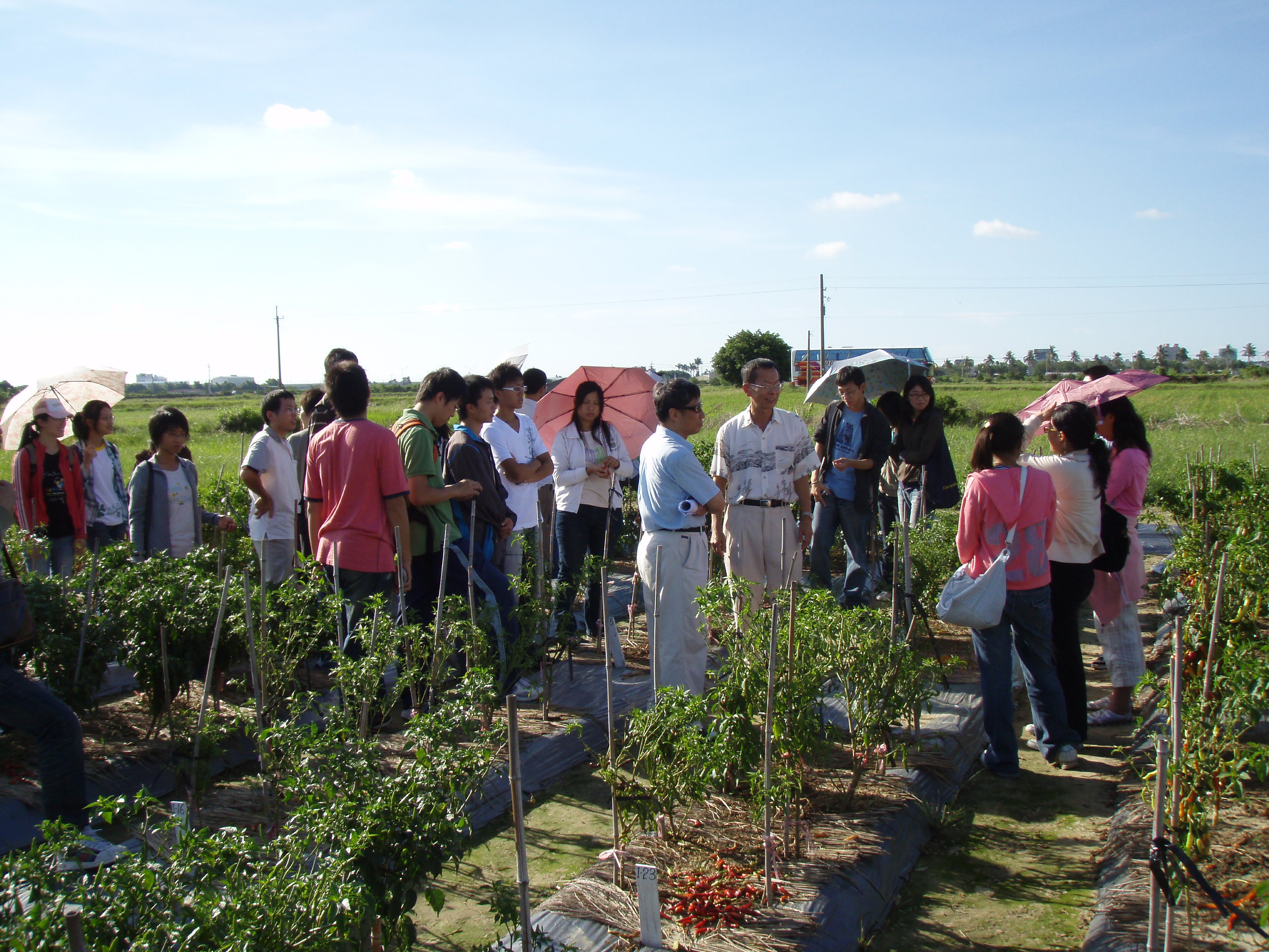970812亞蔬中心田間植物病害觀察9