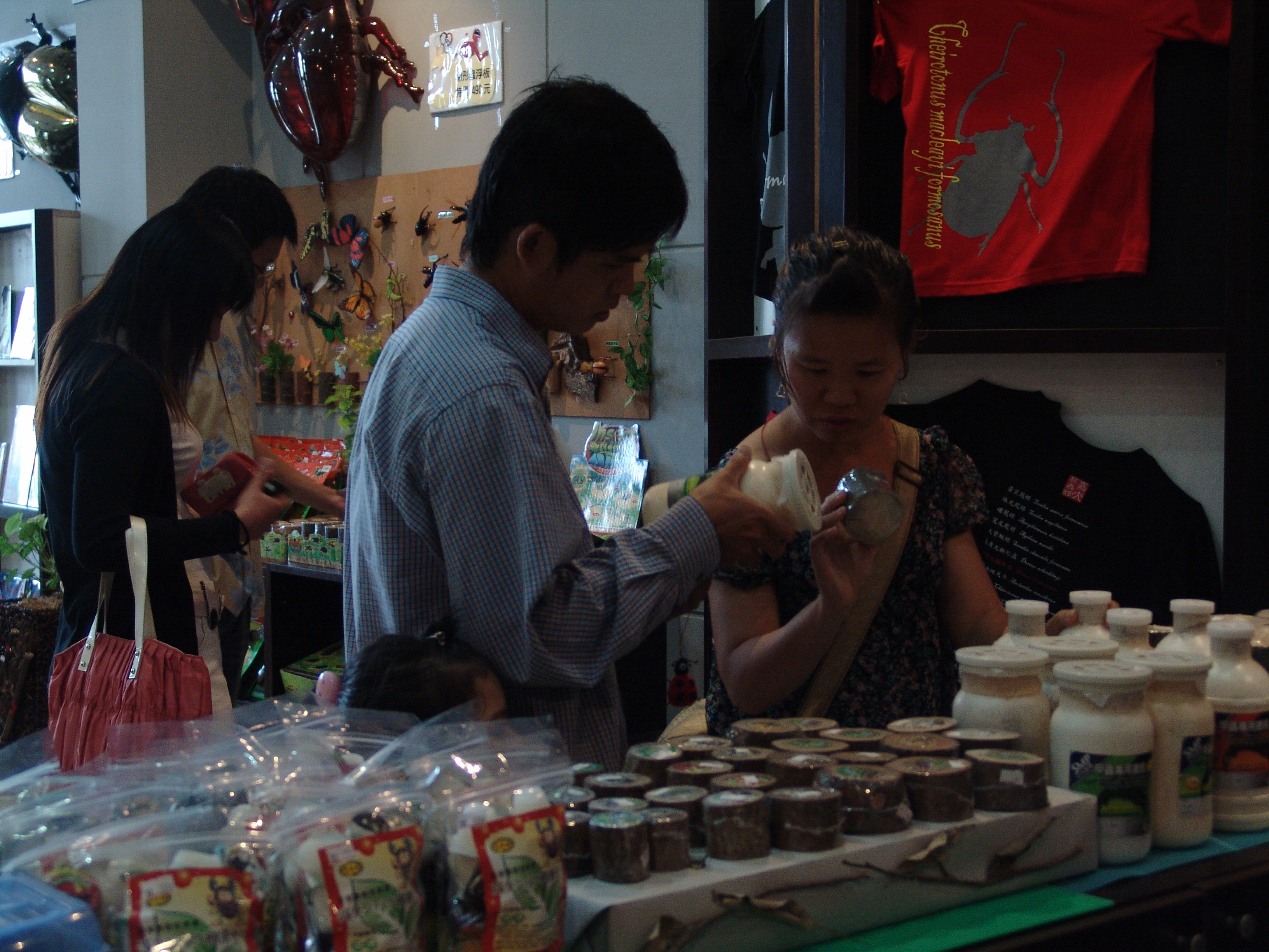 參觀昆蟲館10