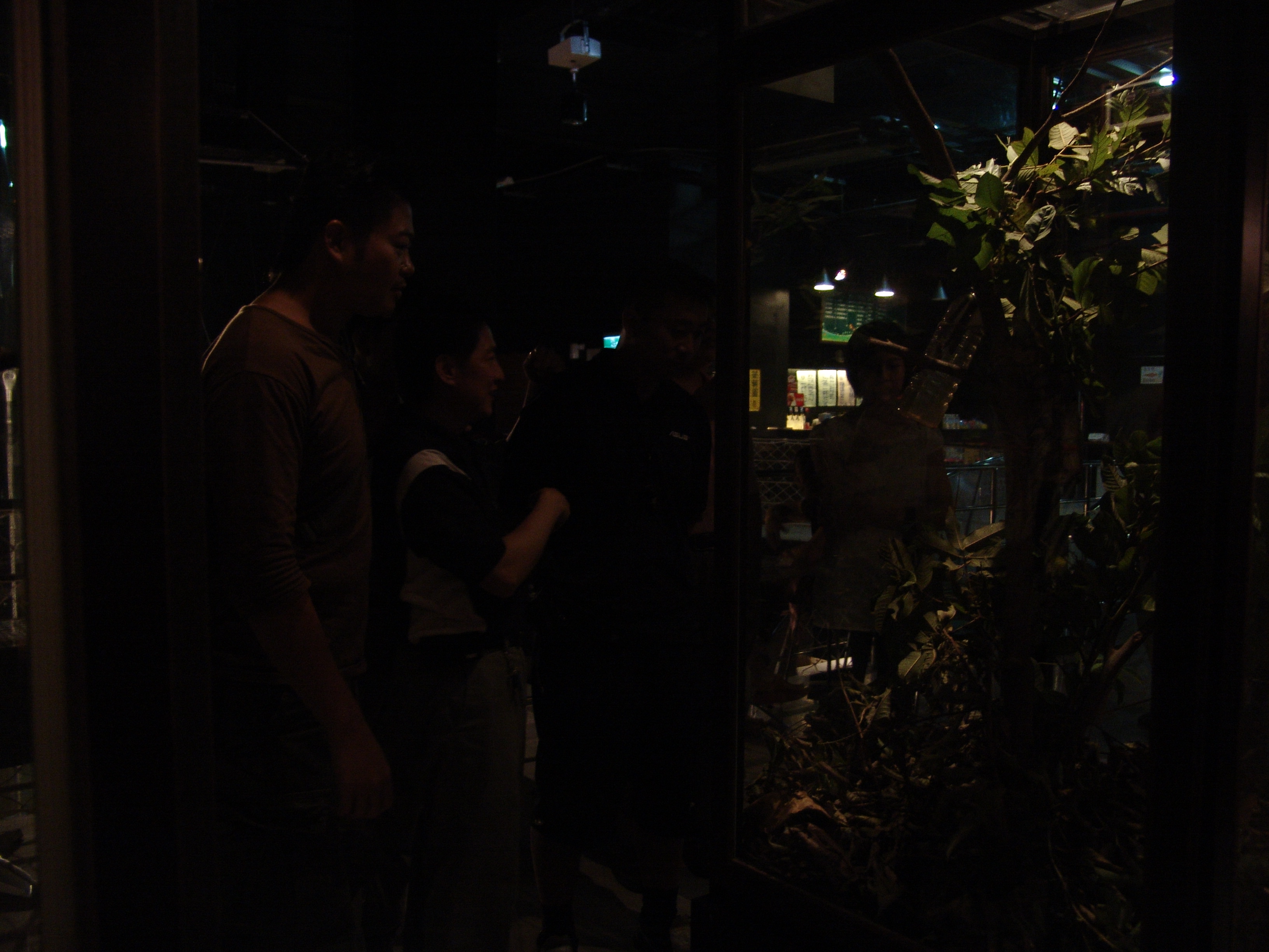參觀昆蟲館16