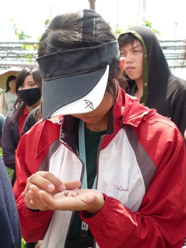 台中改良場