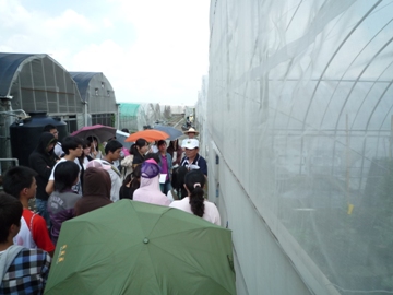 台中改良場