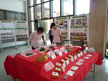 期中成果展