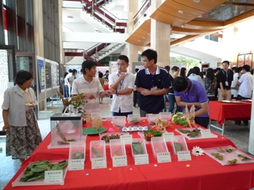 期中成果展