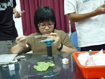 農試所
