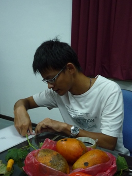 農試所