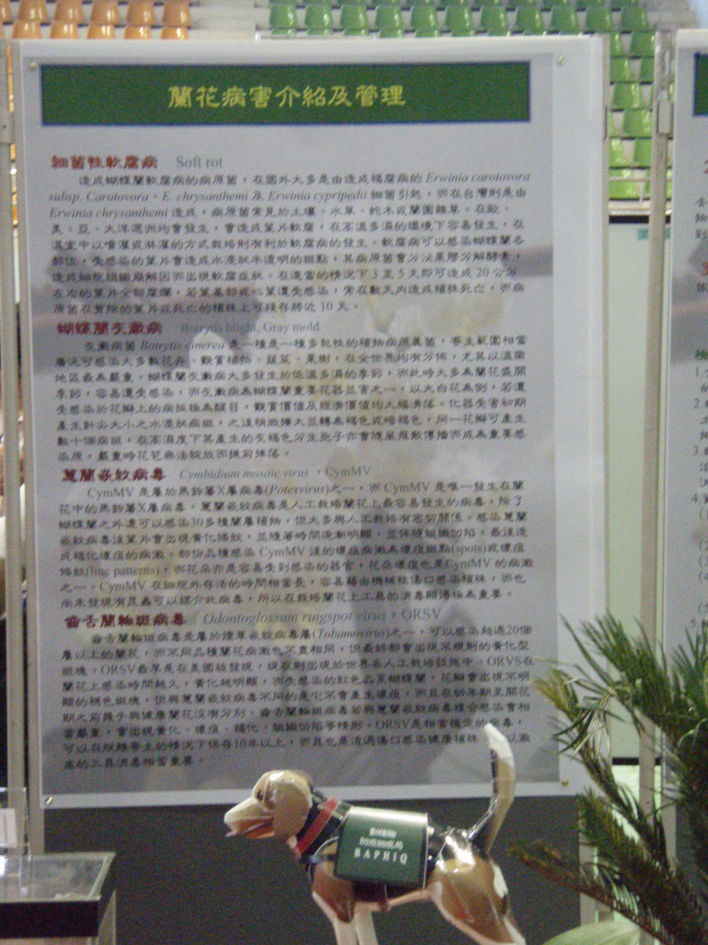 成果展12