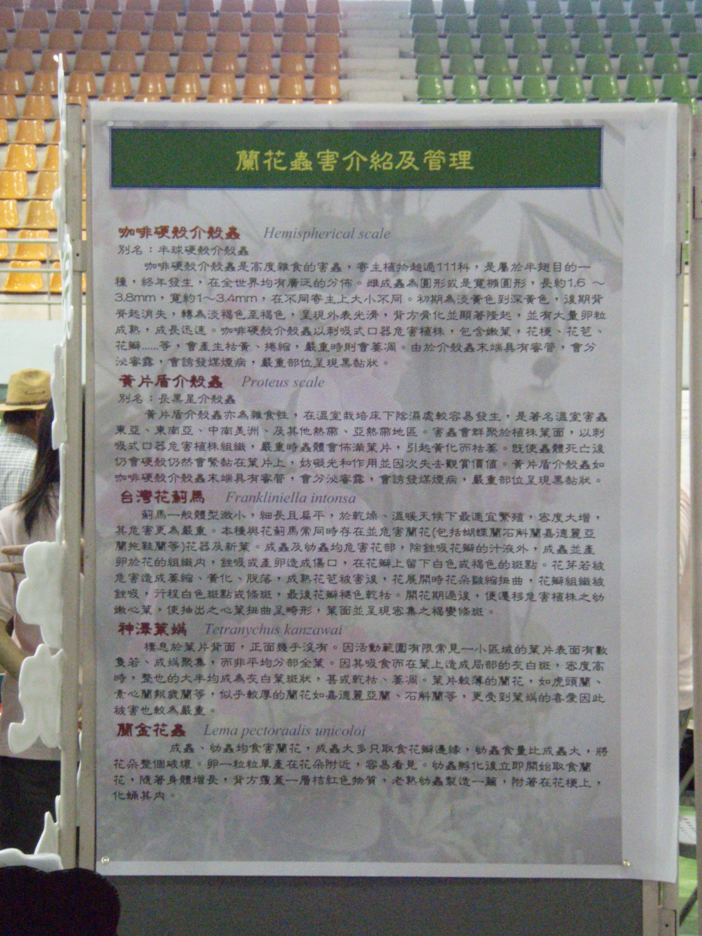 成果展13