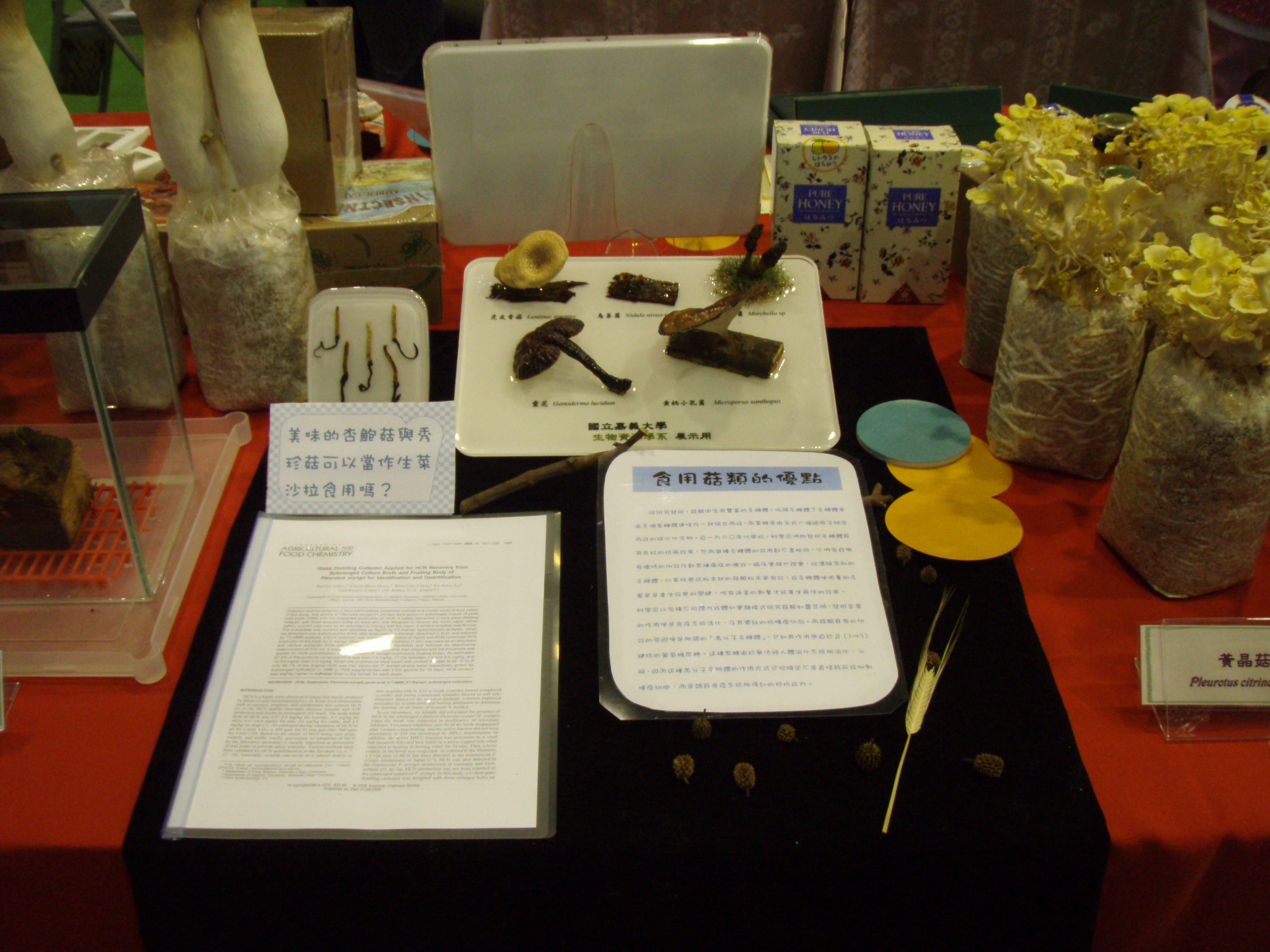 校慶展覽26